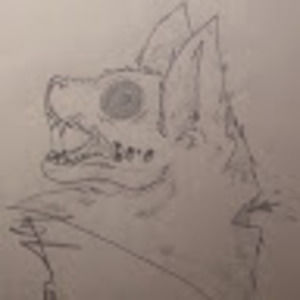 Meet your Posher, Destiny